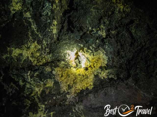 Yellow bacterias at the wall of the cave.