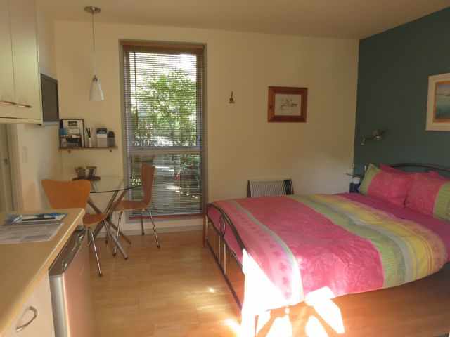 A rental cottage equipped with a kitchen, a huge double bed and a view outside into green vegetation.