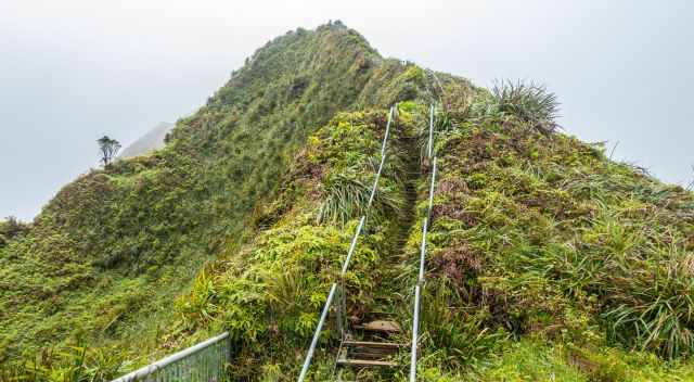 The middle part of the Haiku Stairs overgrown with native plants