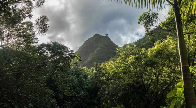 The mountains top where the Haiku Stairs are from the bottom of the valley