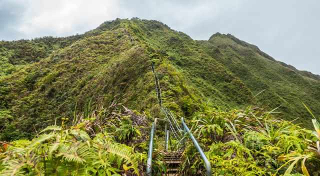 The view up to the top of the overgrown Haiku Stairs