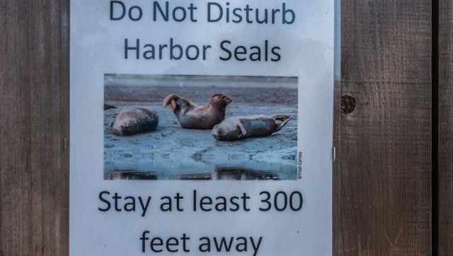 Harbor Seals warning sign