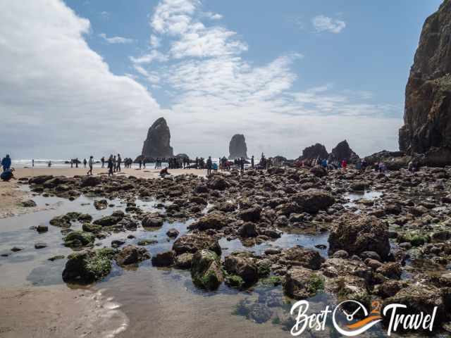 People are walking around the tidepools.