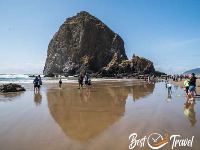 Many people have a closer look to the tidepools.