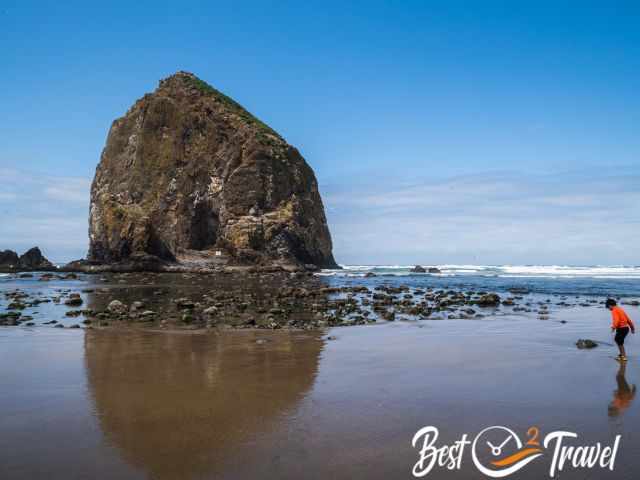 Haystack Rock from the front and a young boy to the right.
