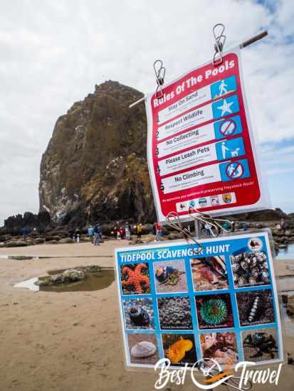 They tidepool rules placed at Haystack Rock for visitors.