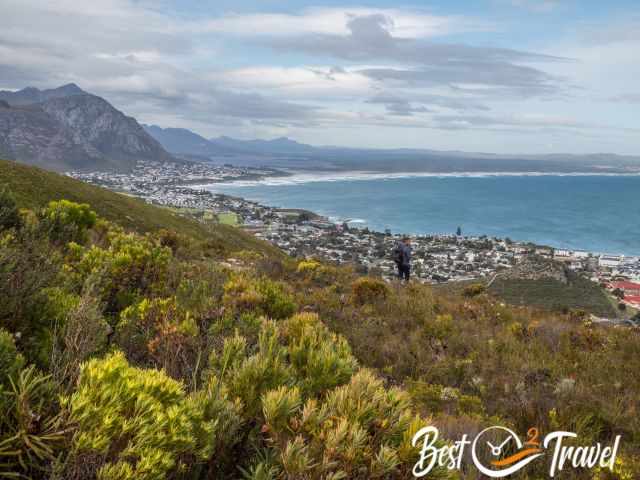 The view down to Walker Bay and Hermanus from higher elevations.