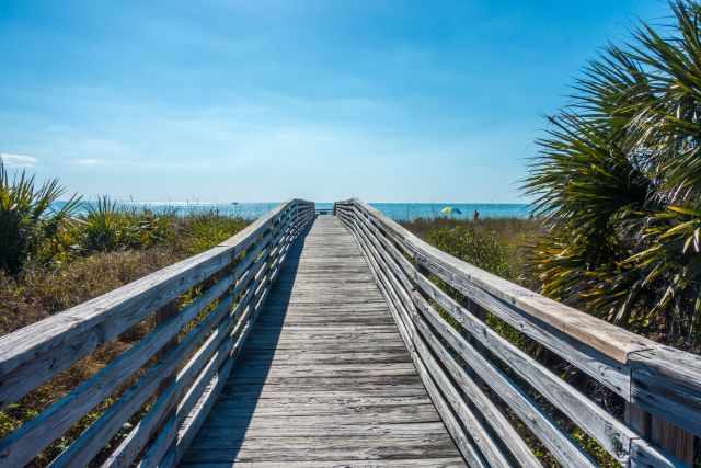 Oasis Beach