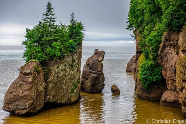 High tide at Hopewell Rocks