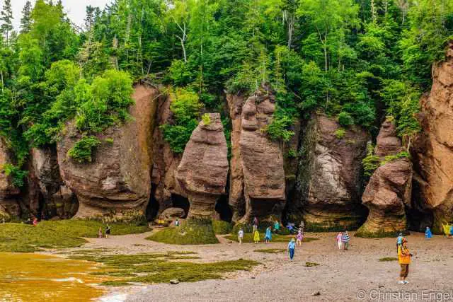 A group of visitors at the cliffs at low tide