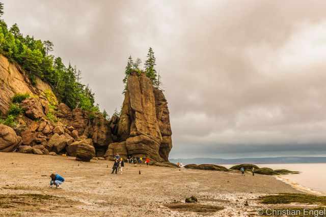 Visitors are walking in t-shirts and jackets on the ocean floor.