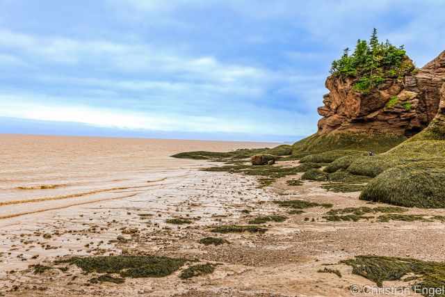 The incoming tide viewed from the ocean floor.