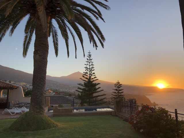 Sunset view in Puerto de la Cruz with a tall palm tree, a garden terrace and pool in the foreground.