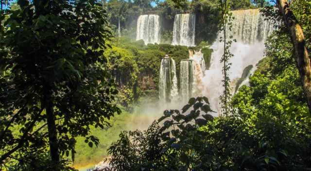 Iguazu Falls view from inside the rainforest