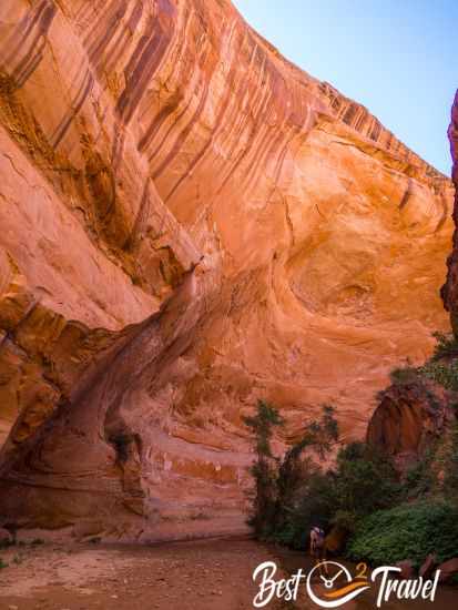 A hiker in front of immense walls deep in Coyote Gulch.