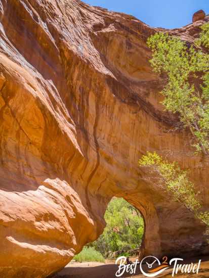 The Coyote Natural Bridge leading above the creek