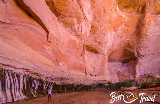 The orange shimmering high canyon walls and a hiker