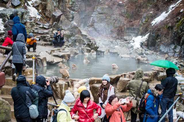 Lots of visitors around the upper pool.