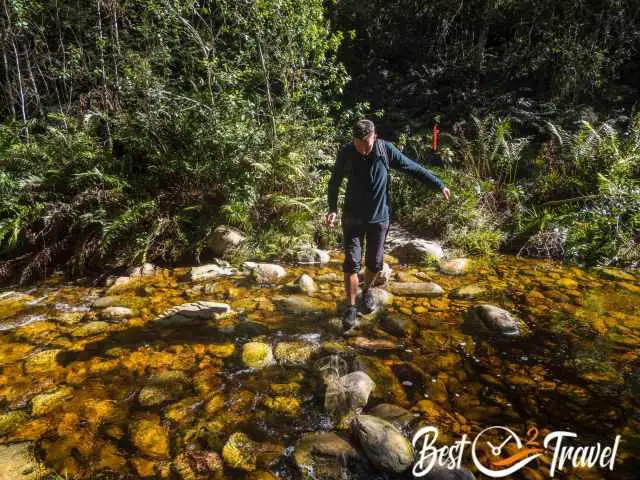 Markus crossing a creek in the rainforest.