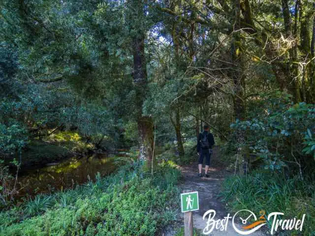 A hiker on the muddy trail.