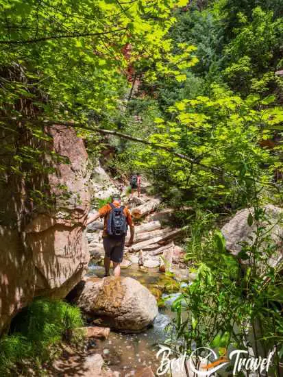 Two hikers in front of us on the wider part of the creek trail