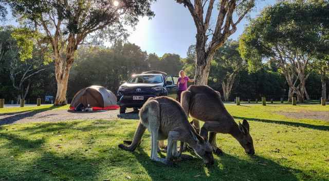 Campsite next to the sea