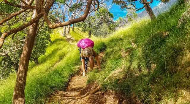 That's me on the Kalepa Ridge Trail on hands and feet