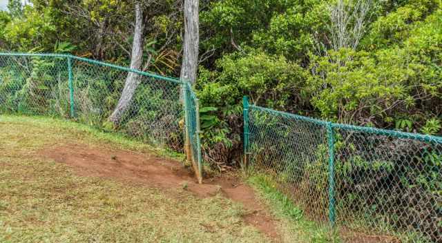 Trailhead Entrance through a fence