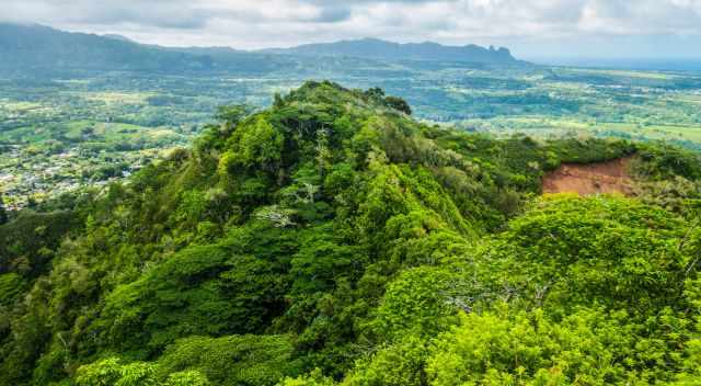 The trail to the head of the sleeping giant through thick scrub - the sea in the back