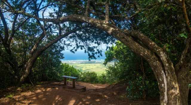 A bench in the shade along the western descent with view to the sea