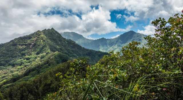 The very top Kauka'opua