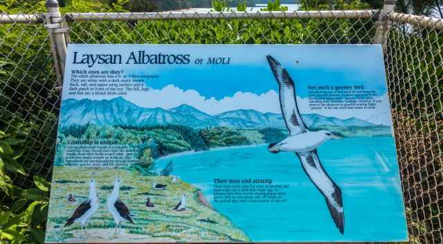 Information Board of the Layasan Albatross