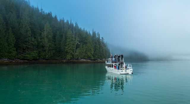 People watching grizzlies with binoculars in the Knight Inlet