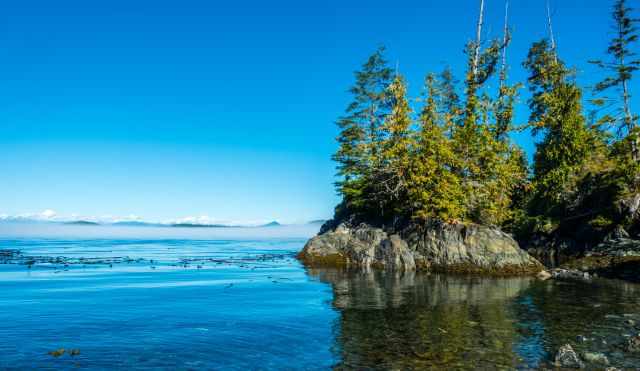 Island in the Johnston Strait with a clear blue sky in the summer