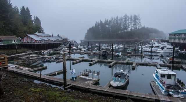 Telegraph Cove with fog and mist early morning