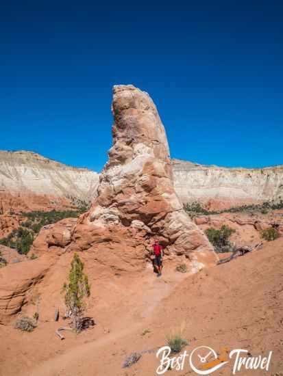 A hiker on the Angel's Palace Trail.