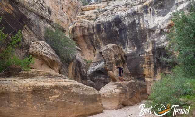 Willis Creek Slot Canyon