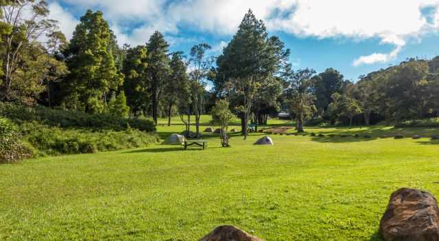 Kokee State Park Waimea Canyon Campground