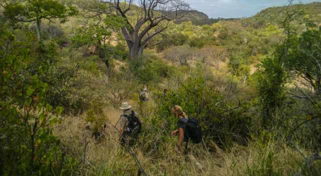 Nyalaland Wilderness Trail - hiking through thick bush