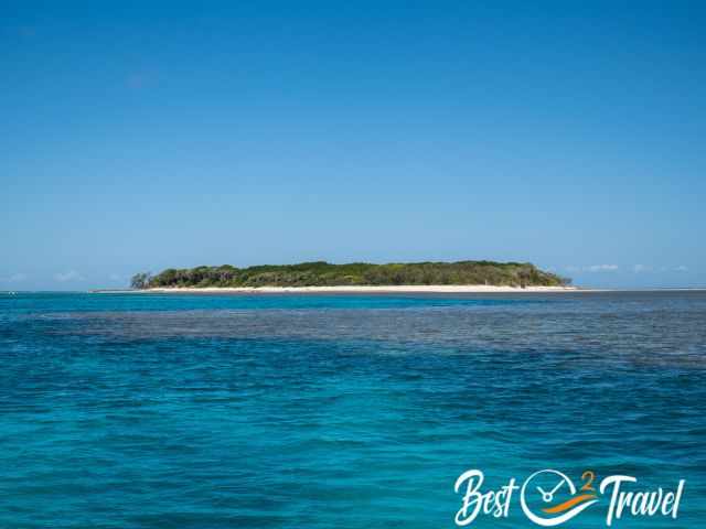 View of Lady Musgrave Island from the boat