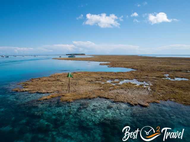 The Lady Musgrave Reef exposed to the sun low tide.