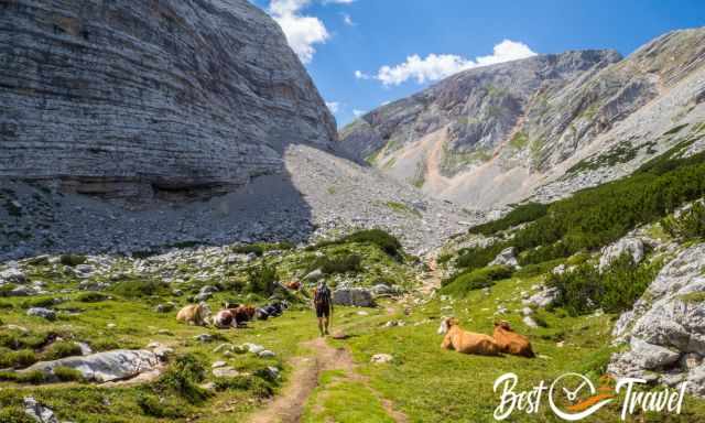 A hiker on the gravel rocky path between two mountains