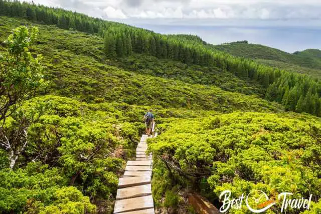 Lagoinha Trail leads on wooden planks in sections.