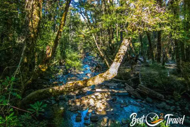 Hugel River Crossing in the Lake St. Clair National Park