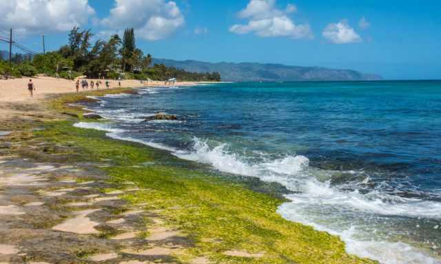 Loots of visitors at the far end of the beach