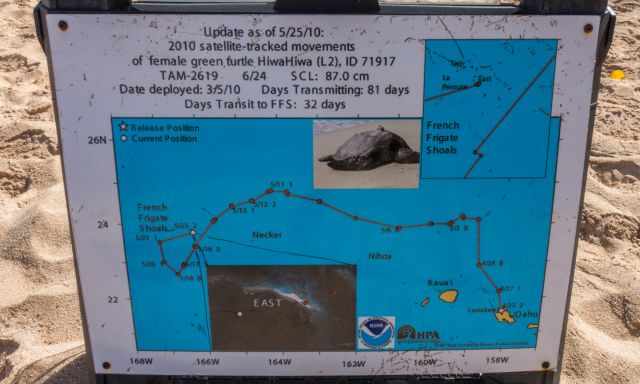 Migrating route of a turtle from Oahu to French Frigate Shoals