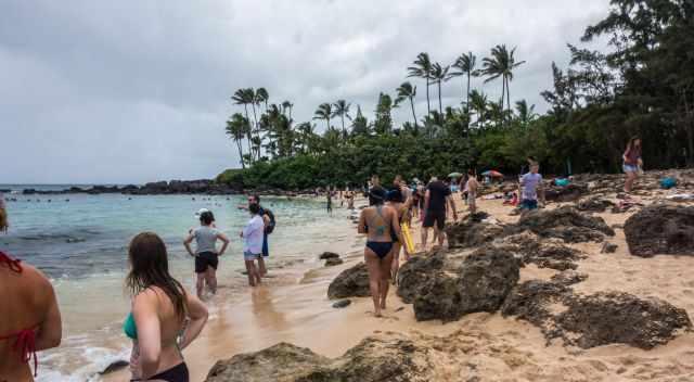 Crowds on Laniakea Beach