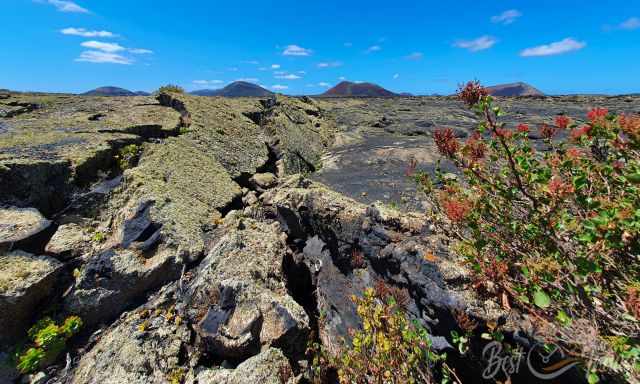 Broken up lava field