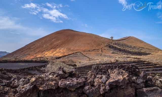 Volcano with a palm tree