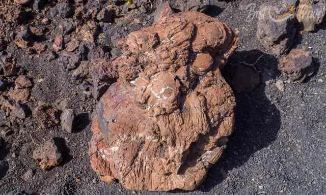 Volcanic bomb from Caldera de Los Cuervos